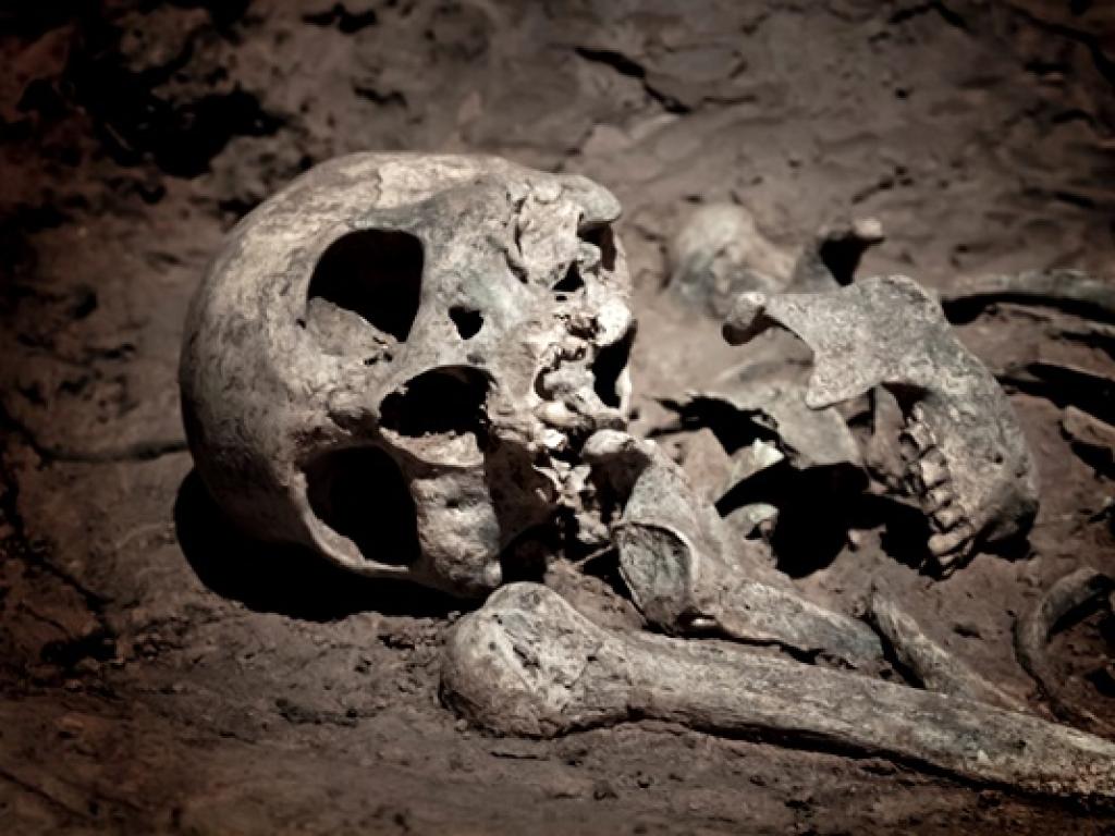 Археолози са направили смразяващо кръвта откритие в Полша. Намерено е