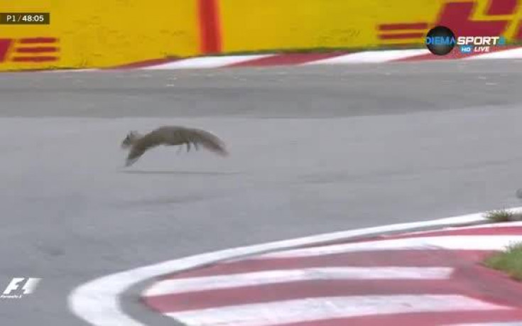 Катеричка изскочи на трасето по време на ГП на Канада