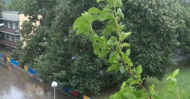 Жълт код за обилни валежи и гръмотевици е обявен в