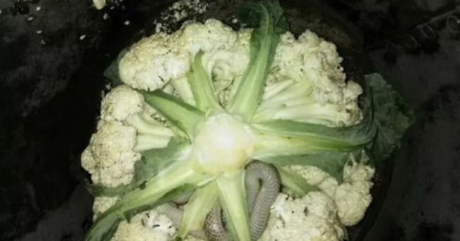 Всеки човек има страхове от едно или друго Някои хора