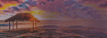  Съвет на деня 