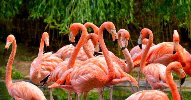 Редно е да започваме деня с крилата фраза която да