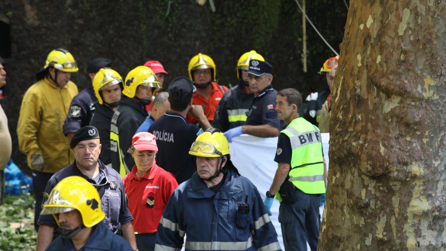 Португалия, паднало дърво, полиция, пожарна