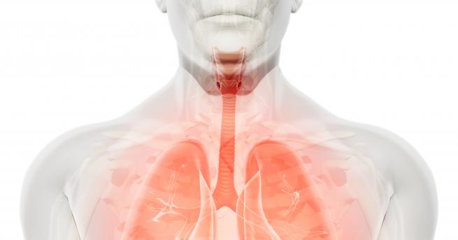 Безплатни прегледи за пушачи и пасивни пушачи първата възможност