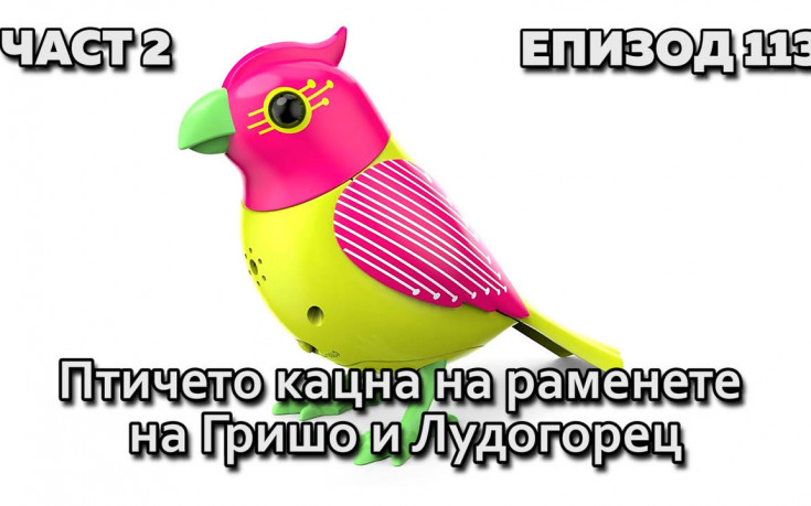 Птичето кацна на раменете на Гришо и Лудогорец