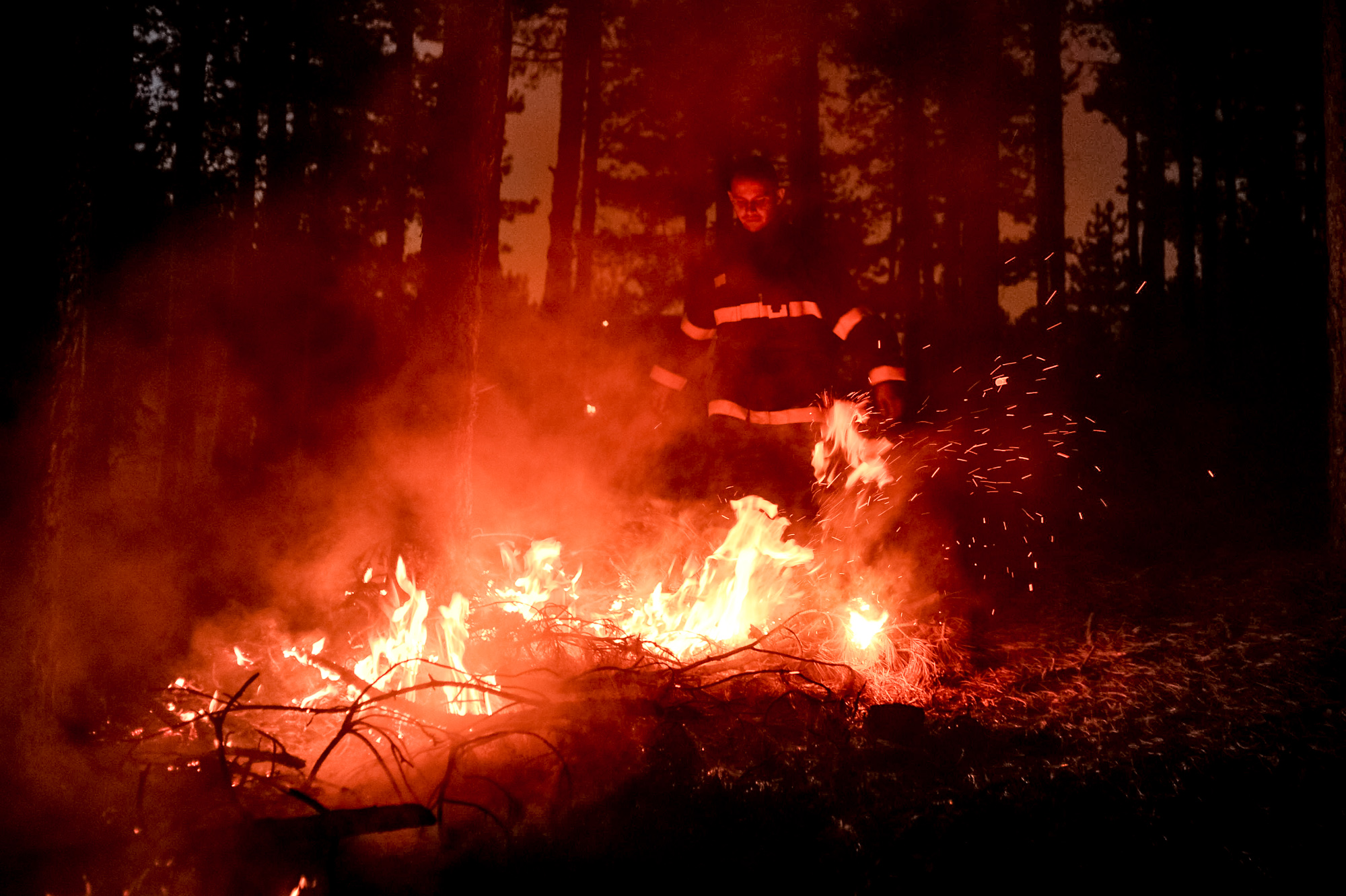 Близо 16 000 дка изгорели гора, треви и храсти, между 12 и 15 милиона лева ще струва възстановяването на гората и 50 години време, за да изглежда както до обедните часове в четвъртък, когато пламна пожарът в Кресненското дефиле. Това е равносметката на четвъртия ден от борбата със стихията. Два вертолета на армията помагат в гасенето, както и стотици пожарникари, военни, доброволци.