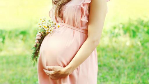  Академия за родители още веднъж гостува в Плевен 