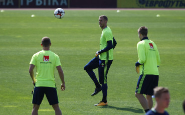 Стомашен вирус тормози селекционера на Швеция