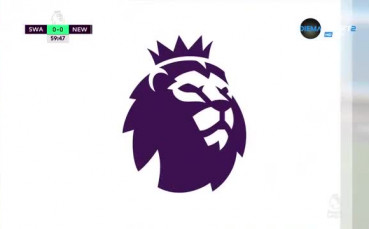 Суонси - Нюкасъл 0:1 /репортаж/