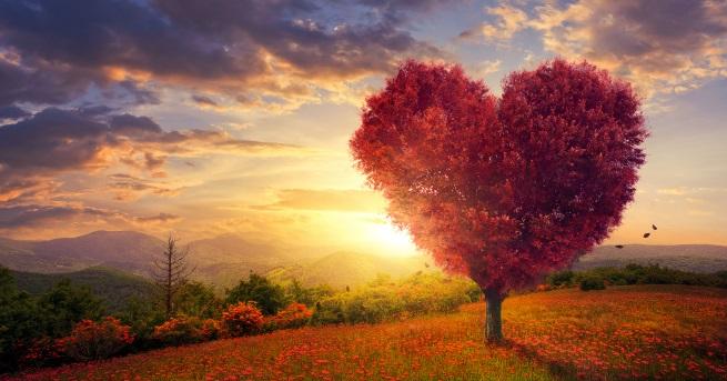 С наближаването на св Валентин много хора използват интернет за