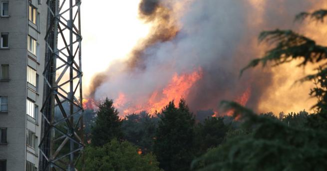 Голям пожар избухна близо до ромската махала „Лозенец“ в Стара