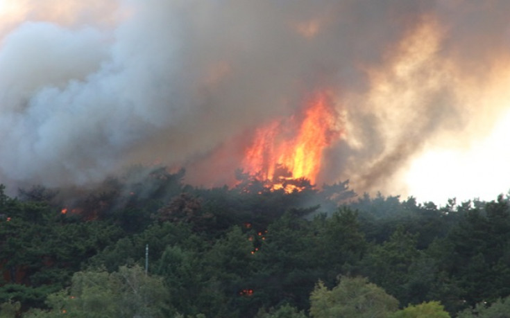 Пожар бушува в близост до стадион 