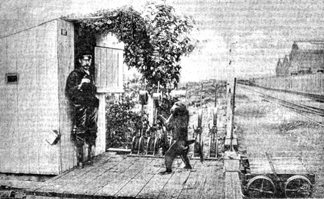  Историята на маймуната Джак, която 9 година работи на жп гара 