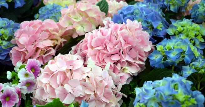 Редно е да започваме деня с крилата фраза която да