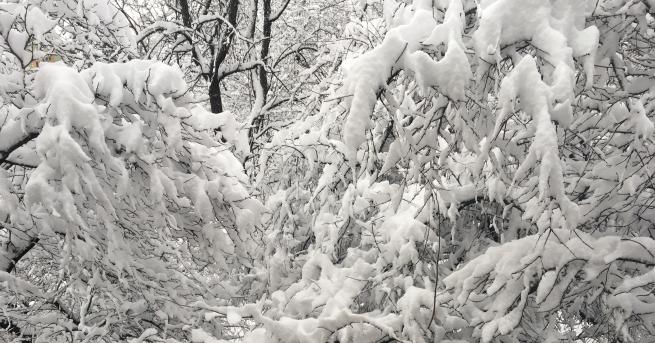 Цялата страна ще посрещне новата седмица с валежи от дъжд