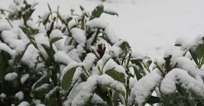 Най ниските температури през февруари ще бъдат между минус 14