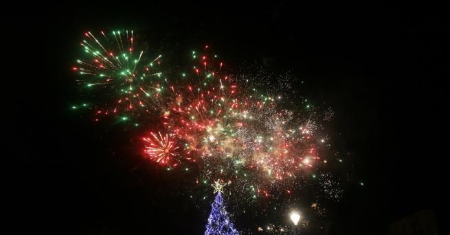 30 хил лампички осветиха тази вечер Коледната елха на София