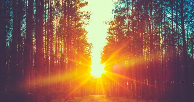 В неделя ще бъде предимно слънчево и почти тихо Затоплянето