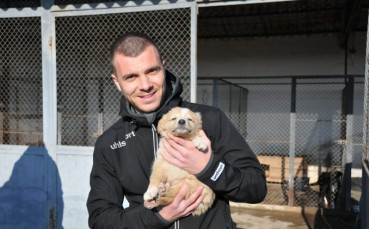 Берое се включи в кампания в подкрепа на животните