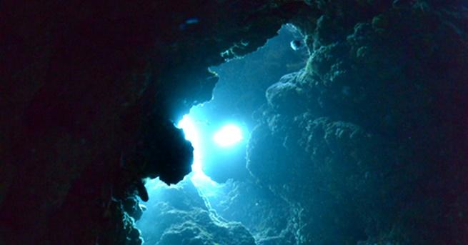 Океаните покриват 70 процента от повърхността на нашата планета и