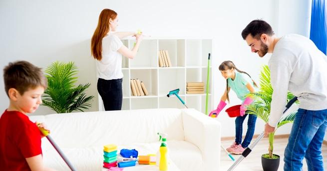 Чистенето на къщата не е работа за всеки За някои