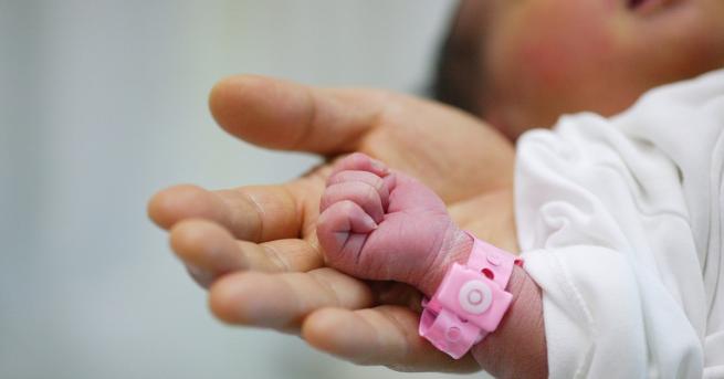 2017 г. е поставила печален рекорд по ниска раждаемост, показват