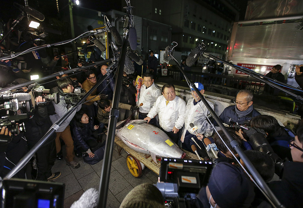 Рибата, продадена на най-високата цена за деня, е уловена във водите на Тихия океан близо до пристанището на Ома (префектура Аомори).