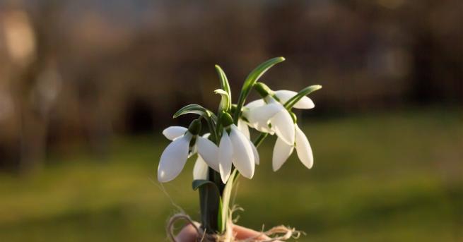 Днес над почти цялата страна ще преобладава облачно време На