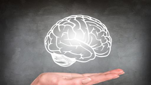  15 любопитни обстоятелството за човешкия мозък 