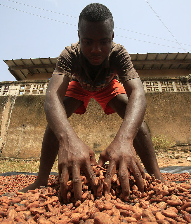 Какаото е основната съставка в шоколада. Кот д'Ивоар е световен лидер в производството и износа на какаови зърна, които осигуряват 33% от световното какао.