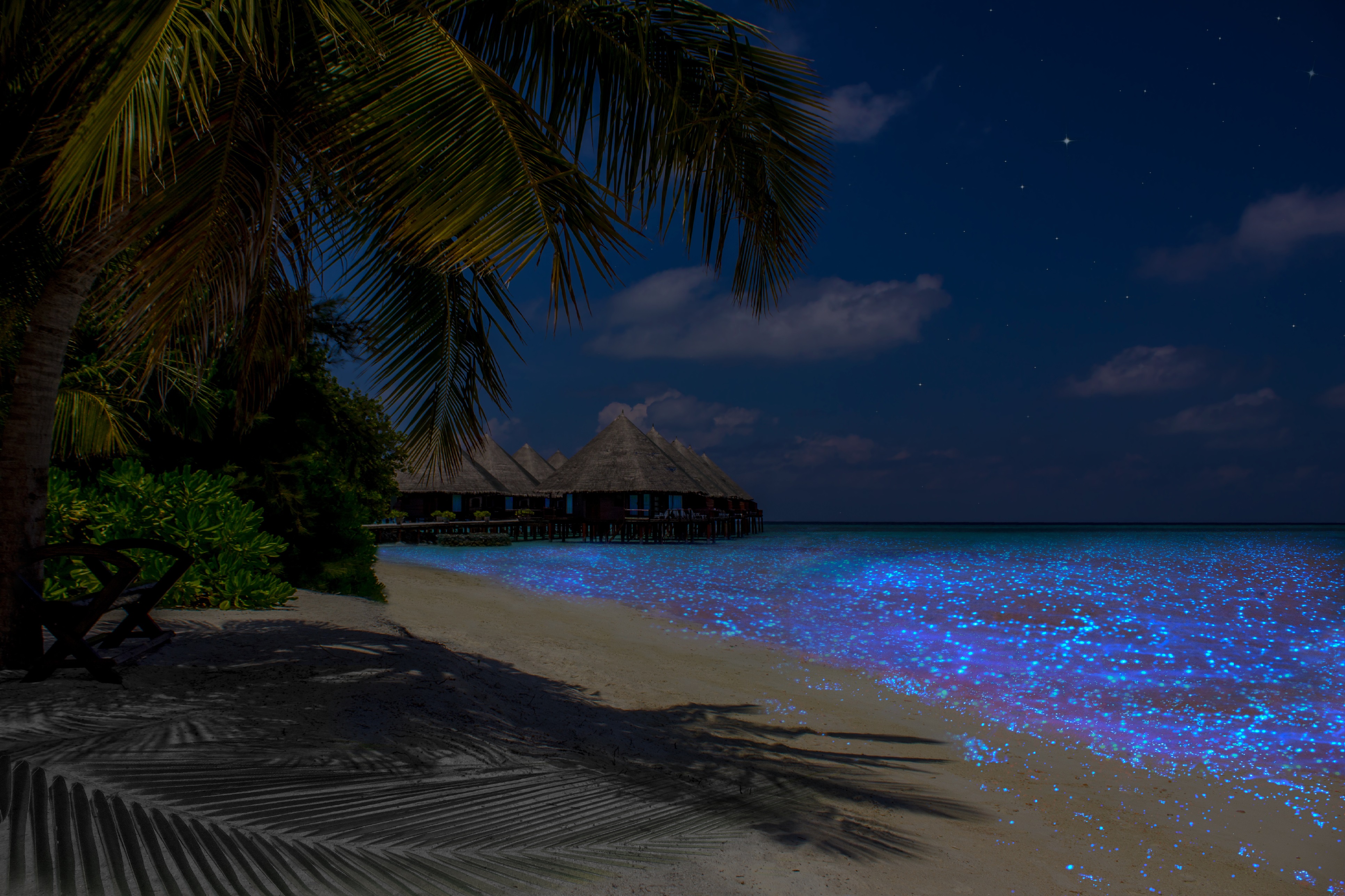 Една от най-изумителните гледки на света - плажът на остров Ваду, Малдивите. Получава се фосфоресциращото явление, с което са известни. Учените са установили, че синята светлина идва от планктон, който реагира при контакт с кислород.