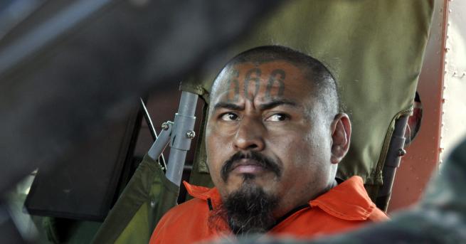 Мара Салватруча Тайфата на пичовете от Салвадор е най страшната