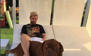 Гигантското куче на Меси, голямо почти колкото него