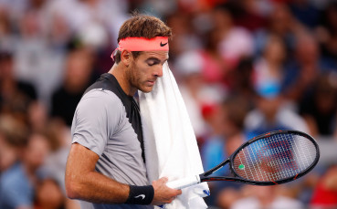 Дел Потро помете Нишикори