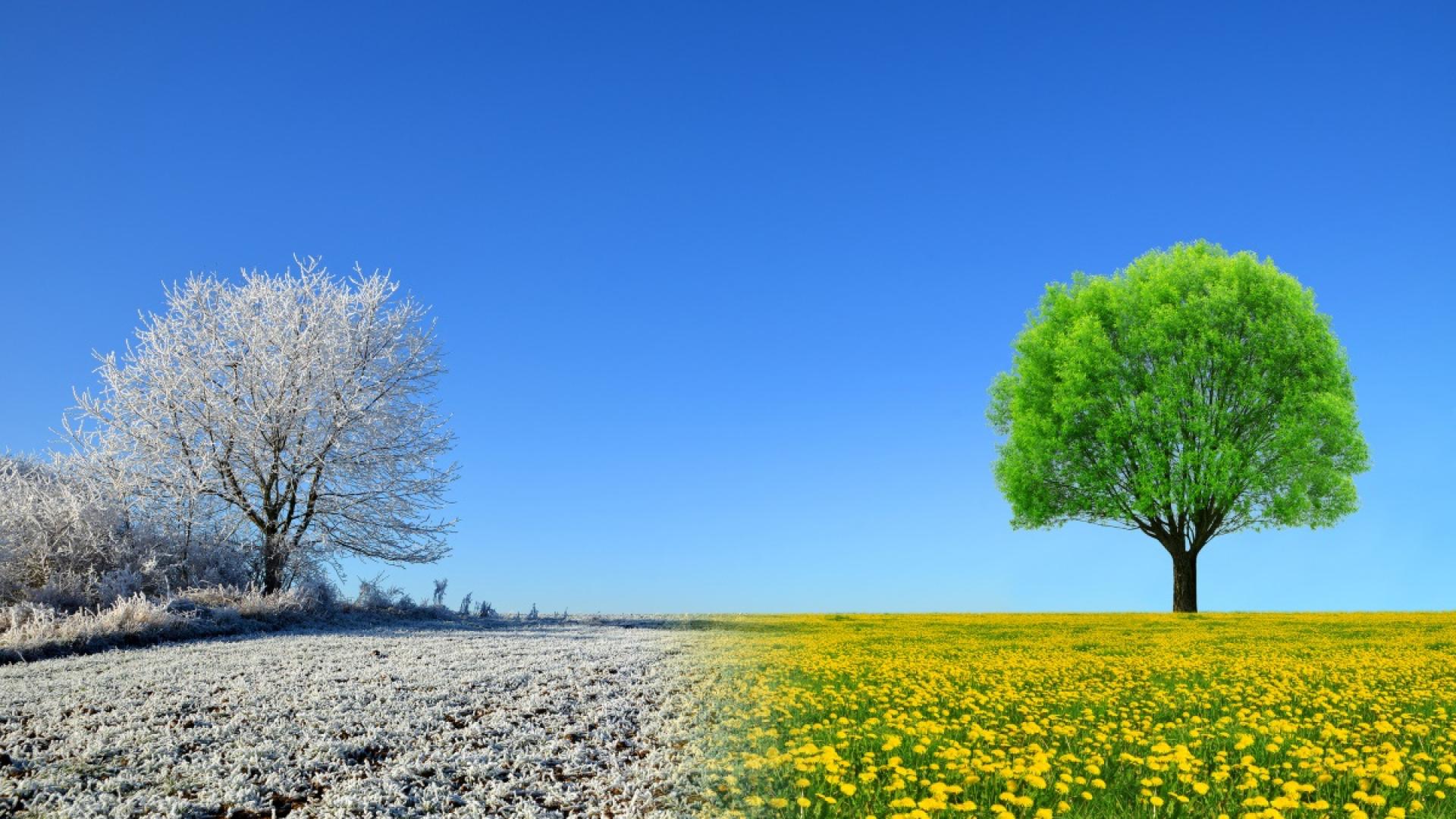 През нощта ще бъде ясно и почти тихо В сутрешните