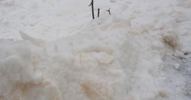 Цветен сняг валя над Разград тази сутрин между 6 00 и