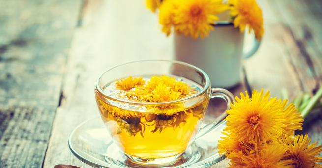 Глухарчето ни е добре познато още от детските години Цъфти през