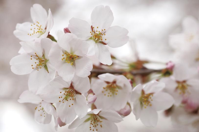 Дневен хороскоп, 5 април, четвъртък - снимка 11