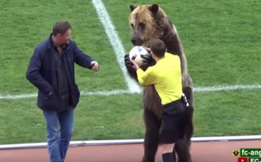 Не съдия, а мечка даде началото на мач в Русия