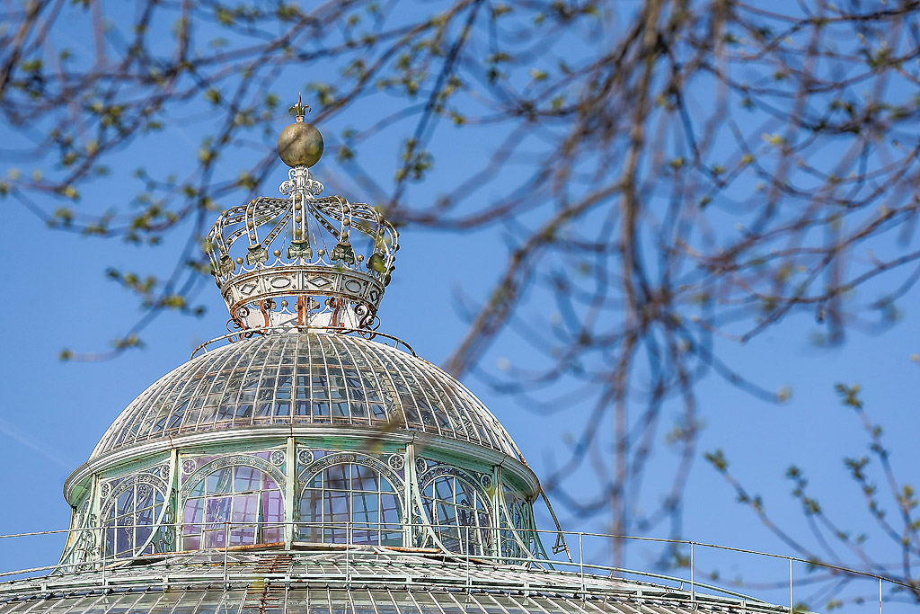 Кралската оранжерия в Лаакен, Брюксел, Белгия е в сграда в стил Арт Нуво, изработена от метал и стъкло от архитекта Алфонс Балат в парка, прилежащ към кралския замък Лаекен по инициатива на крал Леополд II. Те са построени през 19-ти век. Оранжерия в Лаакен тази година ще е отворена за посетители само за 3 седмици, в периода от 21 април до 11 май 2018 г.