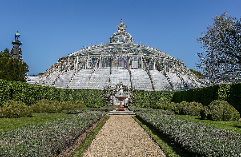 Кралската оранжерия в Лаакен, Брюксел, Белгия е в сграда в стил Арт Нуво, изработена от метал и стъкло от архитекта Алфонс Балат в парка, прилежащ към кралския замък Лаекен по инициатива на крал Леополд II. Те са построени през 19-ти век. Оранжерия в Лаакен тази година ще е отворена за посетители само за 3 седмици, в периода от 21 април до 11 май 2018 г.