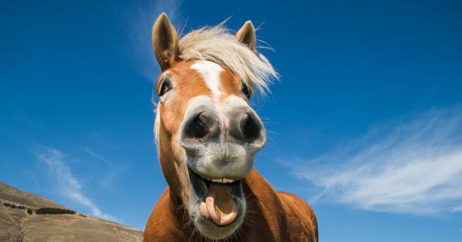 Всички харесваме козметичните продукти Кремчетата които ухаят толкова хубаво и