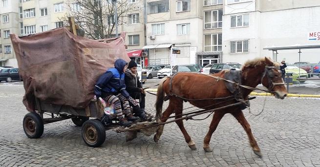 Инцидент с кон и счупена каруца в София завърши с