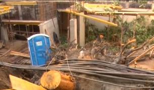 Стотици семейства останаха без ток заради паднало дърво във Варна