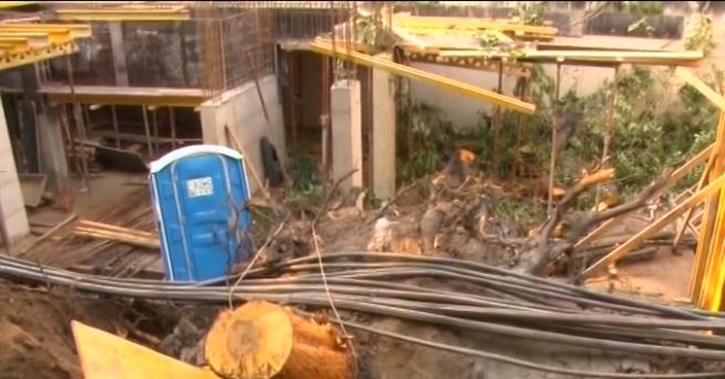 70 годишно паднало дърво остави без ток и вода стотици семейства
