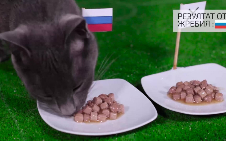 Предрекоха шокиращи мъки за Роналдо и Иниеста по пътя към 1/8-финал
