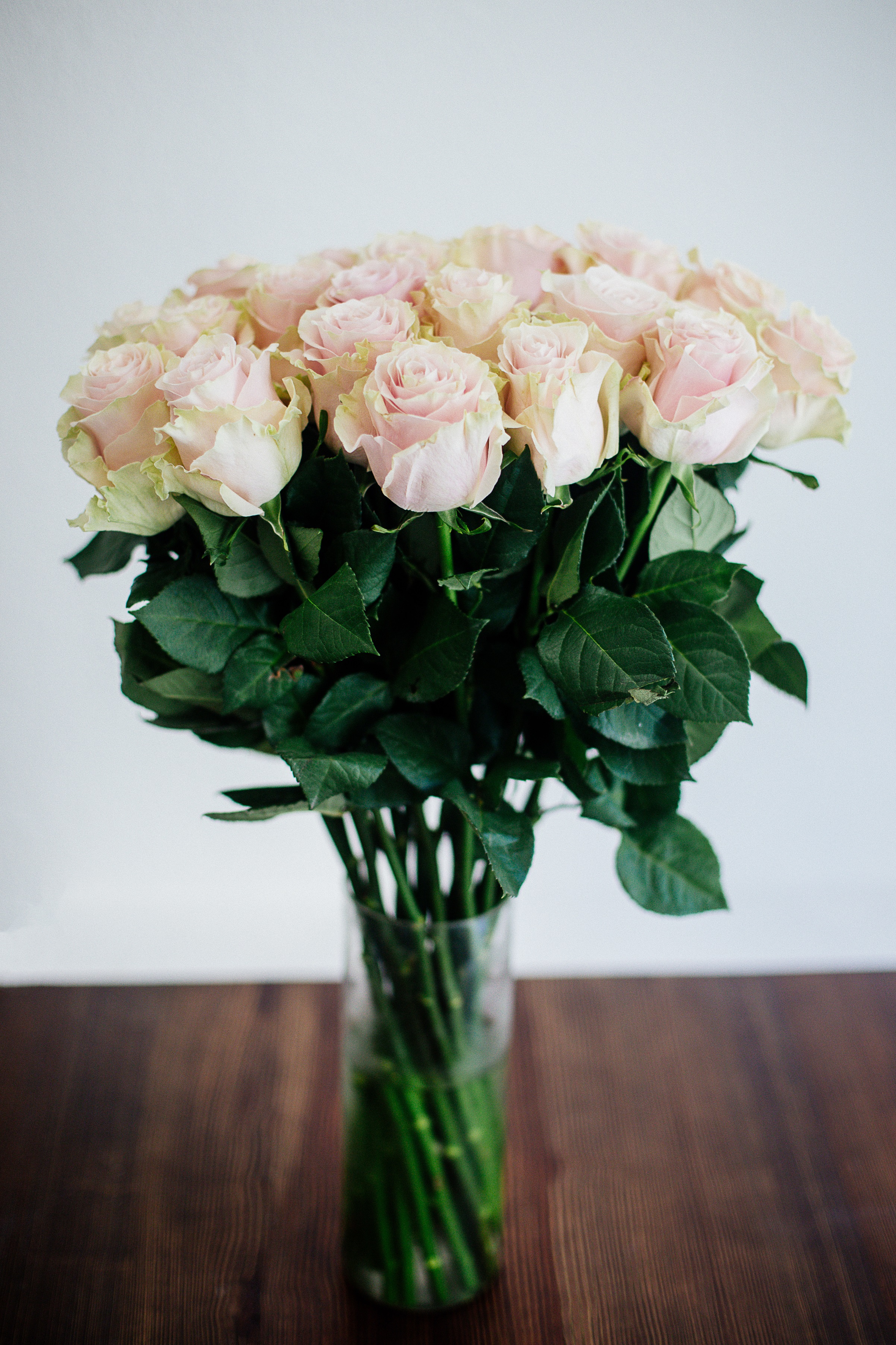 Рак<br />
<br />
Белите рози имат една определена чистота, която свързваме с тях, същата, която имат и хората, родени под знака на Рака. Те са сладки, любящи и изключително грижовни по природа и имат намек за меланхолия в израженията си. Белие цветя като цяло са идеални за хората от зодия Рак.<br />
<br />
Други цветя, подходящи за Рак: бял лотус, бяла лилия, южна магнолия
