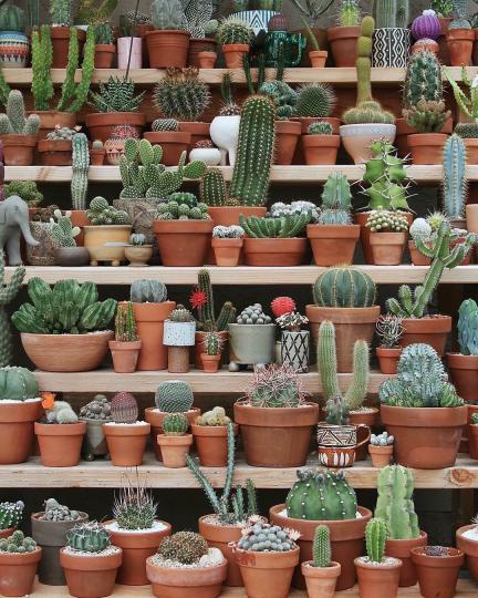 Дневен хороскоп, 20 юли, петък - снимка 3