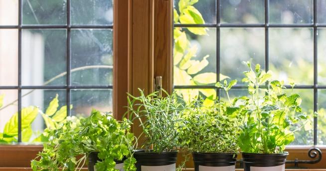 Не всеки от нас има двор или тераса съответно