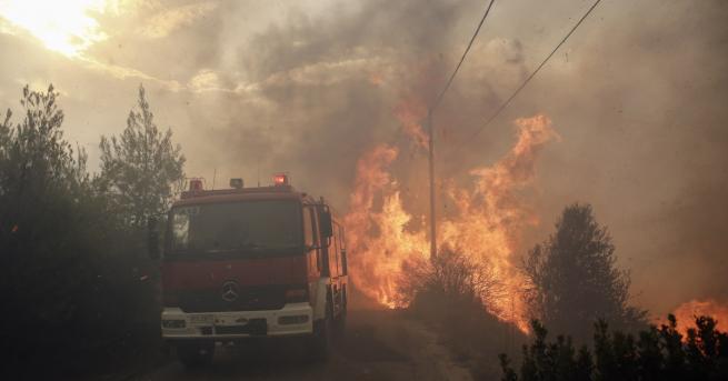 Над 20 души са загинали в пожарите бушуващи около и